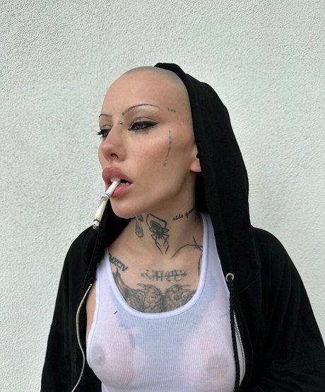 Siiickbrain 最高のスター 写真