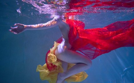 allygatorrz 美しいスター 写真