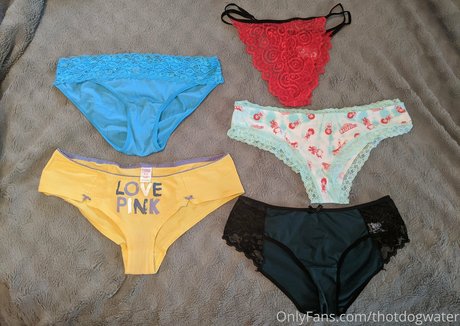 バニー無料OnlyFans 美しい裸 写真