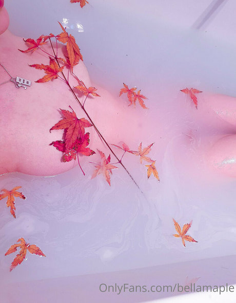 waifubellafree 素敵なスター アーカイブ