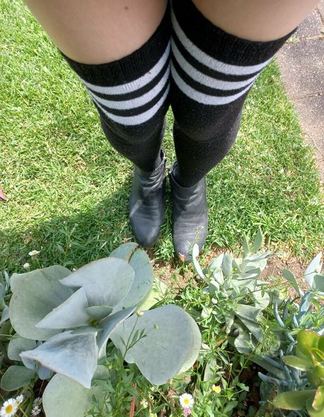 waifubellafree 完璧なスター 画像