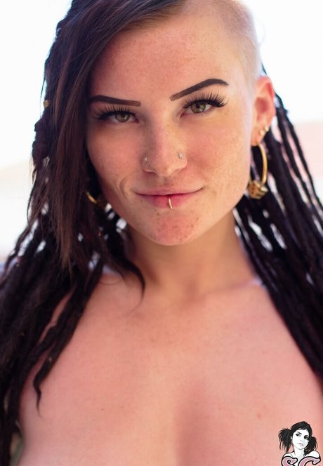 Sierhaus 完璧なスター ギャラリー