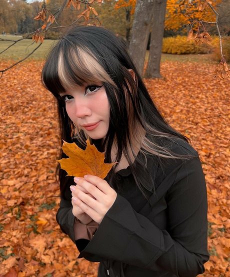 Shini Waifu 素敵な女優 写真