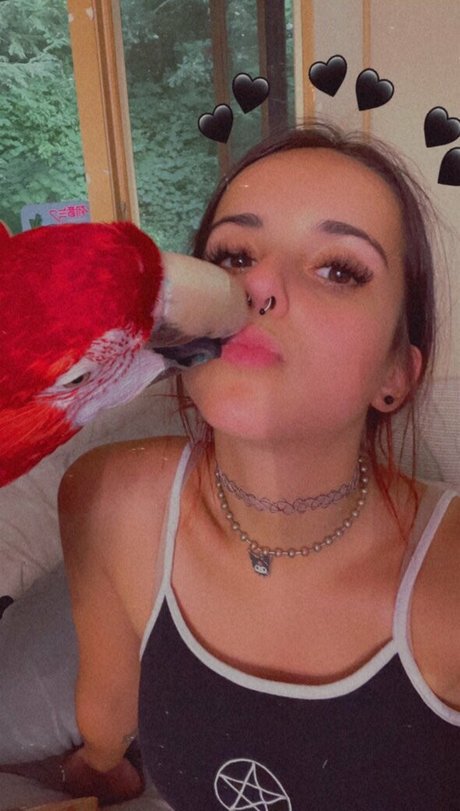 shinitaiix HDスター 写真