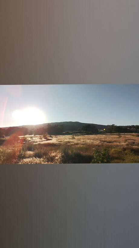 Jos Buenrostro セックス女優 画像