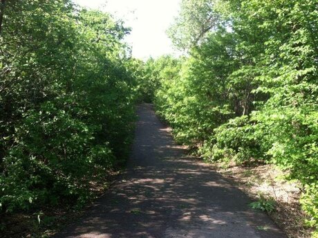 DJfatttyMike 限定モデル 写真