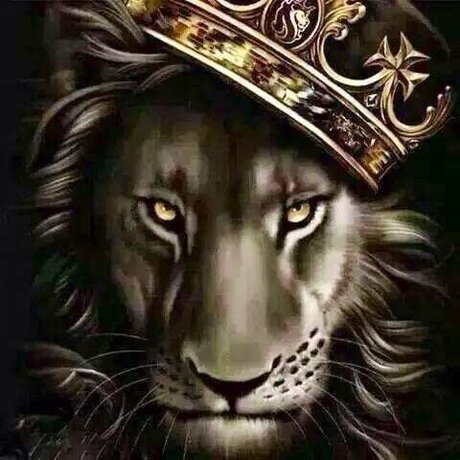 dominic steele 女優 ギャラリー