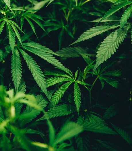 Bigsmokedog ヌードモデル 画像