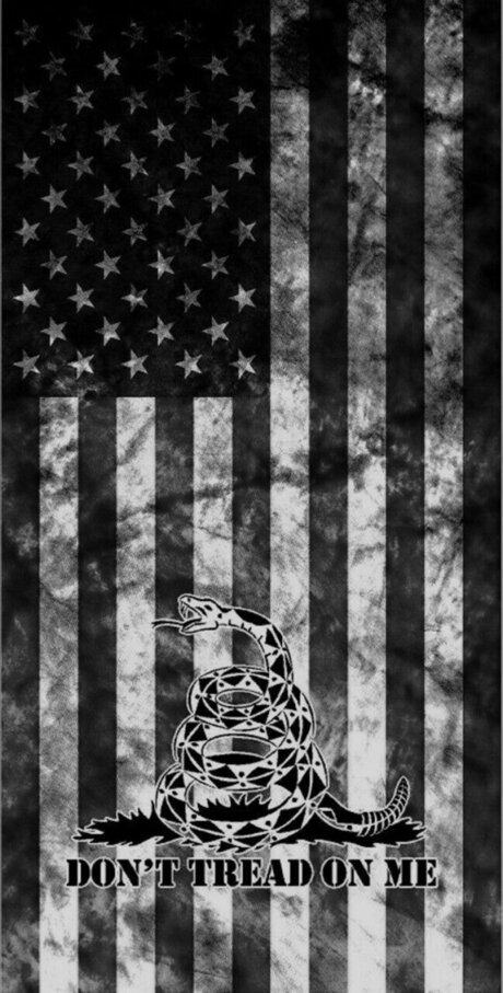 The greatest_ 素敵なスター 写真