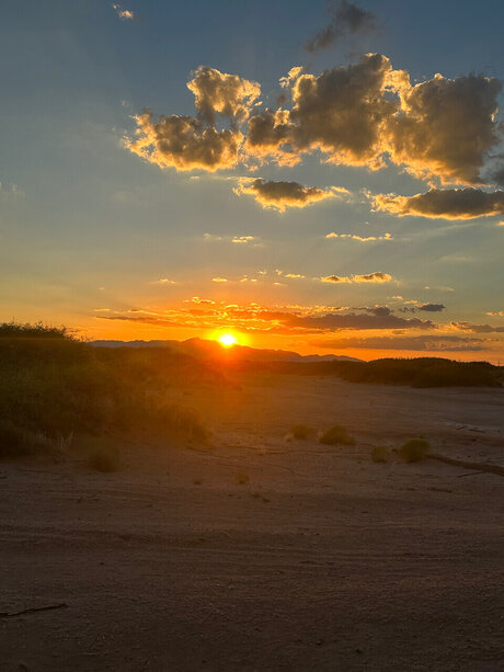 Tsunami スター 写真