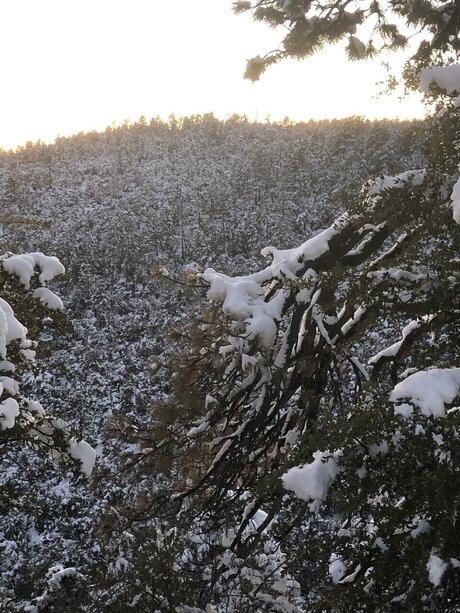 ロールプレイオンリーファン ホットセックス アーカイブ