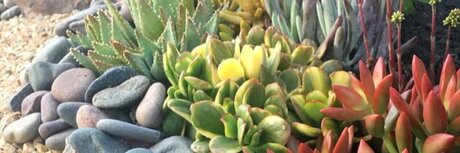 Nova Grace セックスモデル 画像