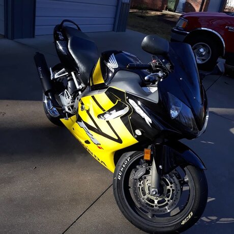 Chris Cordon アート女優 アーカイブ