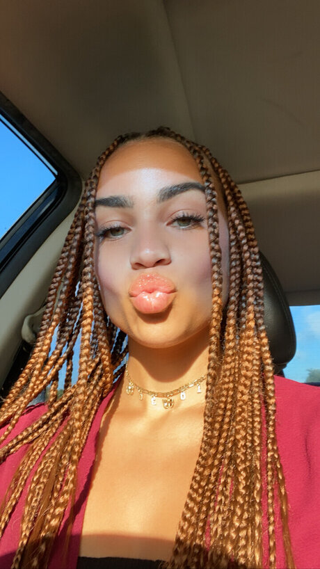 Seychelle C_ HDモデル 画像