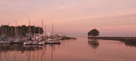 Camila Berns 完璧な女優 写真