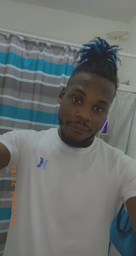 ブルネットの猫OnlyFans えろた 写真