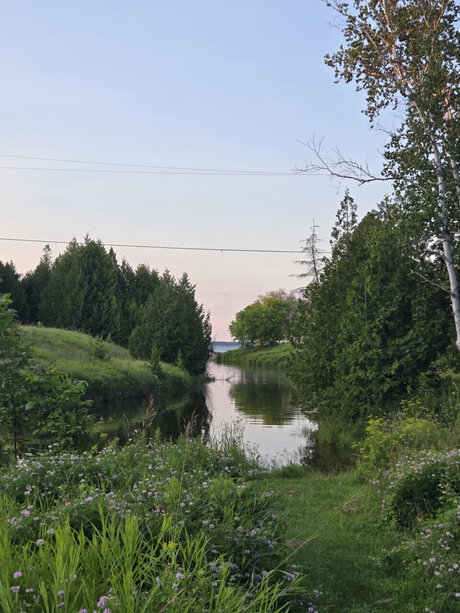 RocketCam_ トップスター 写真