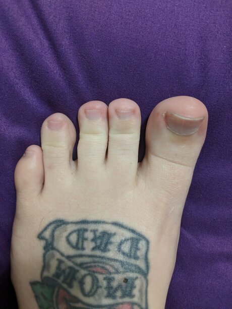 Miss Quinn スター アーカイブ