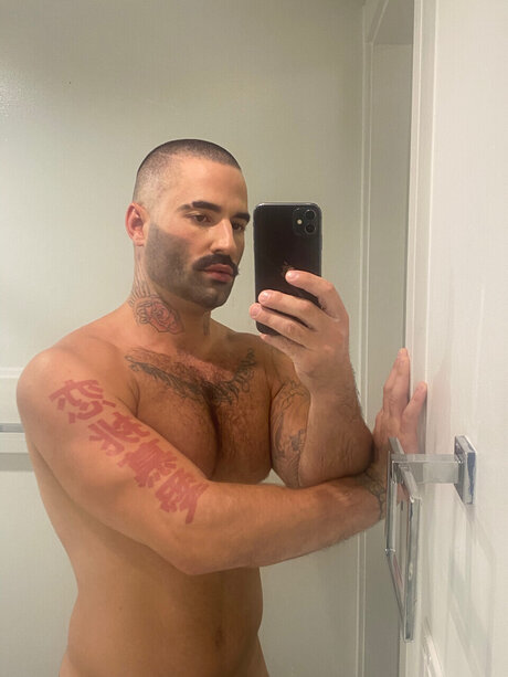 Todd 無料モデル ギャラリー