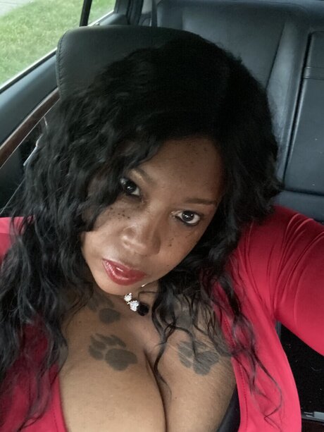 Pork chops ポルノスター ホット 画像