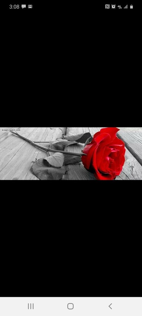 Katie Lady セックスモデル 写真