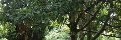 Curt s Acting Naughty ポルノスター 高品質 画像