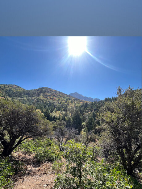 WhiteWolf ヌードスター 写真