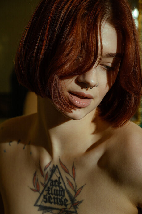 h beley HDモデル 画像