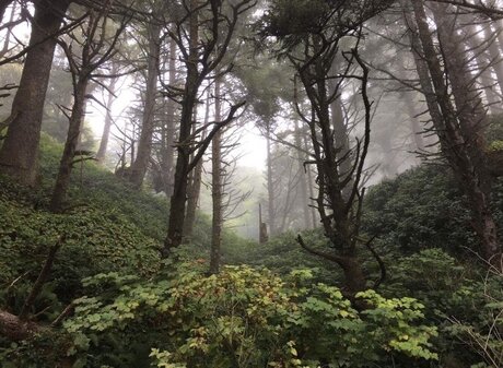 maddi atterton セックス女優 写真