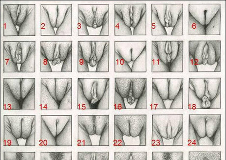 whitedovecries ポルノモデル アーカイブ