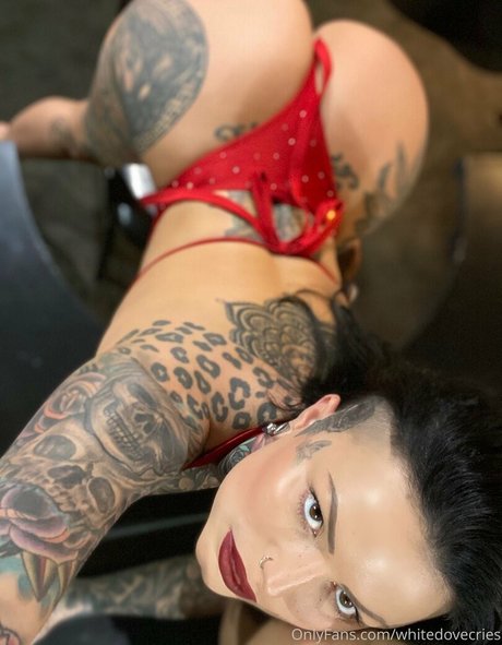 whitedovecries 独占女優 ギャラリー