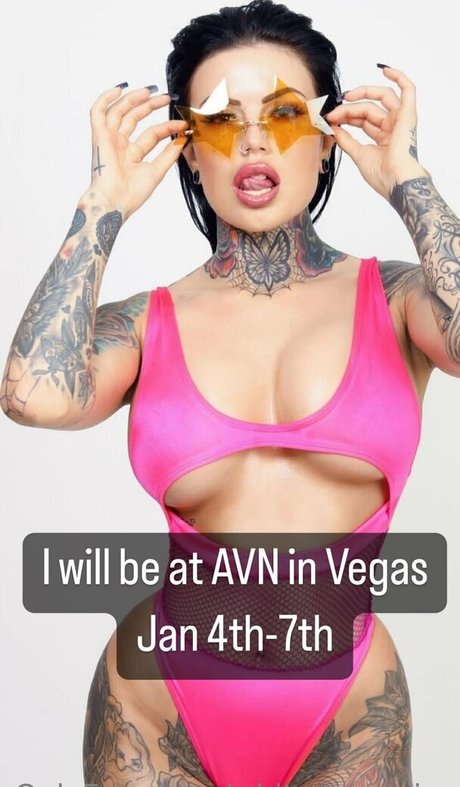 whitedovecries 限定モデル 写真