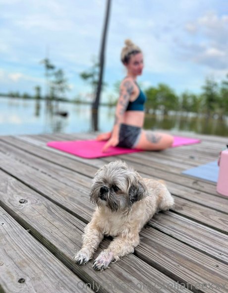 stellafreexxx アダルトスター 画像