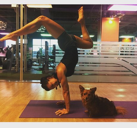 Iliza Shlesinger 美しいスター 写真