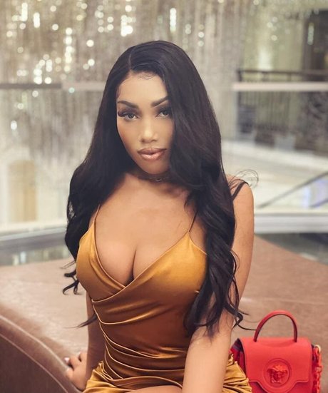 大きな黒い猫OnlyFans トップ 画像