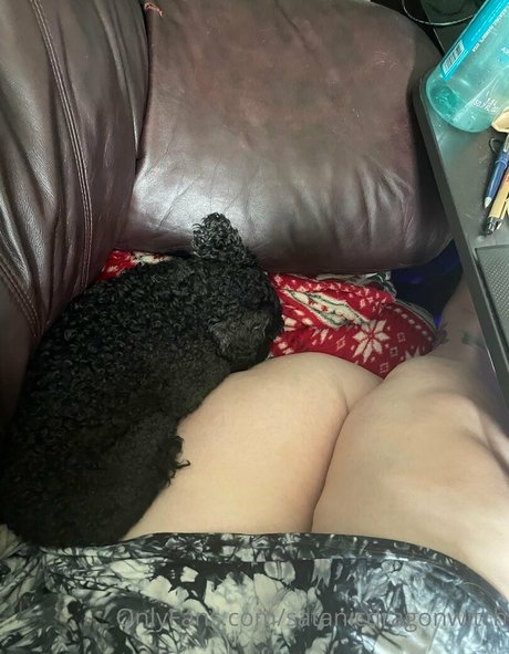 satanicdragonwitch ポルノスター 素敵 画像