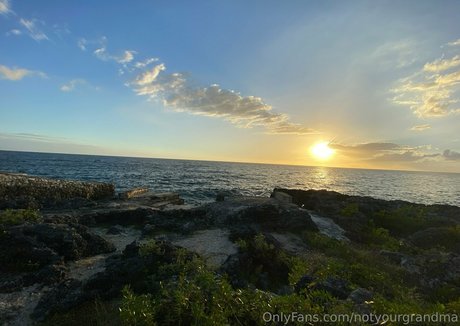 notyourgrandma 独占モデル 写真