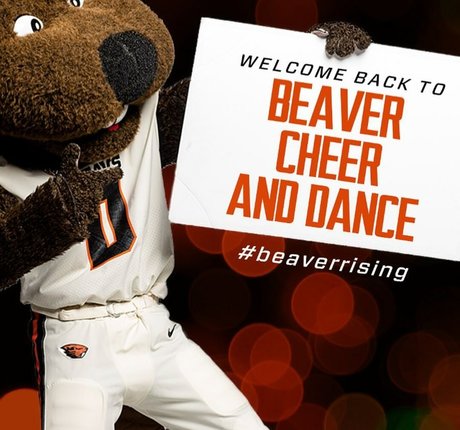 Taylor Johnson Cheer ポルノスター ベスト アーカイブ