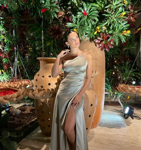 アニメプリンセスOnlyFans セクシーヌード 写真