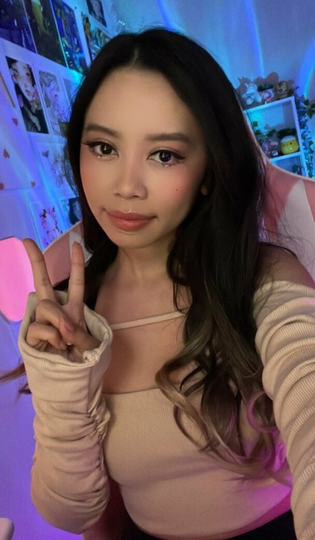 Kimmie D 限定モデル 写真