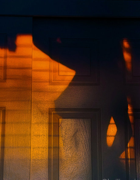 妊娠中のアジア人オンリーファンズ 素敵 アーカイブ