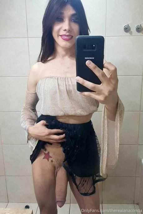 TheRealAnaconda Profilbild