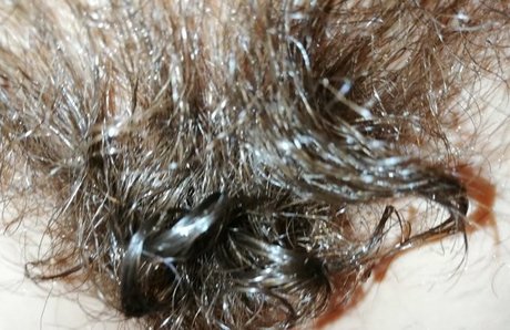 cuteblonde666 無料のスター 写真