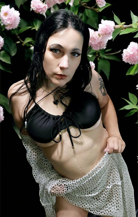 Lili Lace セックスポルノスター 写真