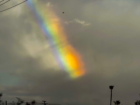 TheOne ATA エロティックなモデル ギャラリー