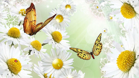 Misfit Barbiie ポルノスター HD 画像