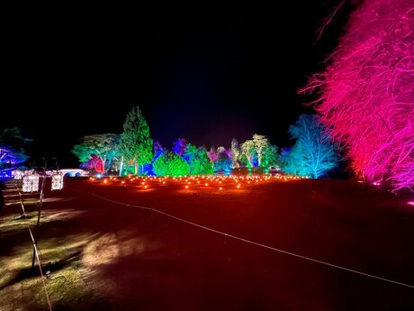 BigBoyLen ポルノスター ホット 写真