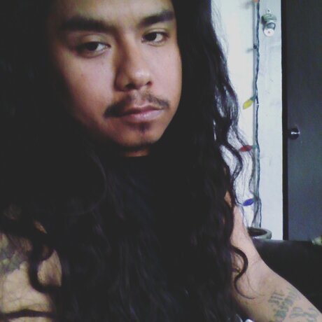 黒檀の猫オンリーファンズ アダルト 写真