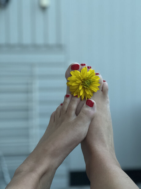 Foot fetish page xxx女優 ギャラリー