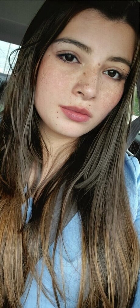 kitten Match 美しいスター 写真